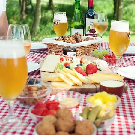 Molen Van Medael Ligt Naast De Ardennen, Voerstreek En Zuid-limburg アパート *